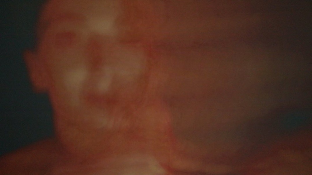 NINA singing, close-up, red stage light