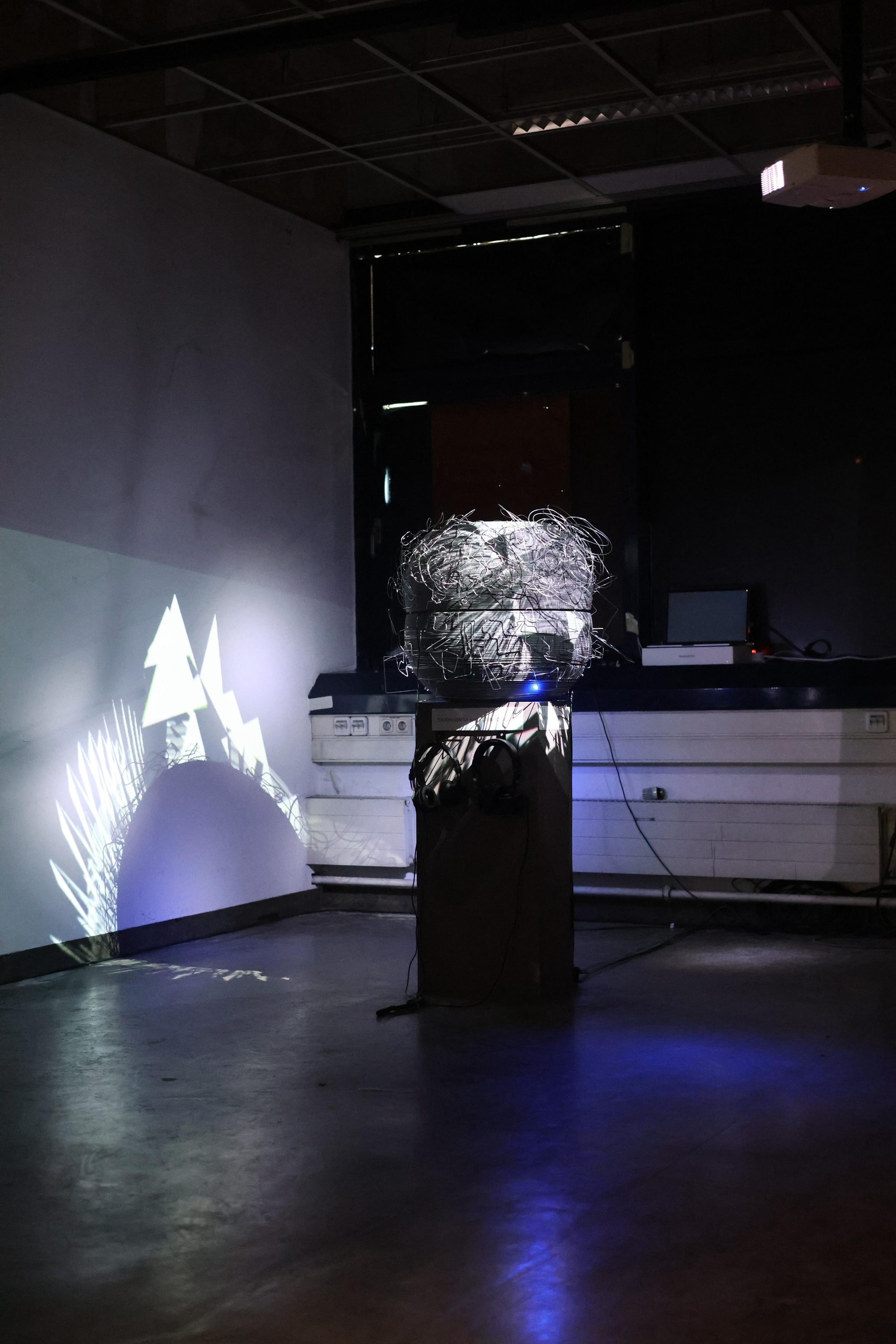 JANUS — Installation view at Ars Electronica