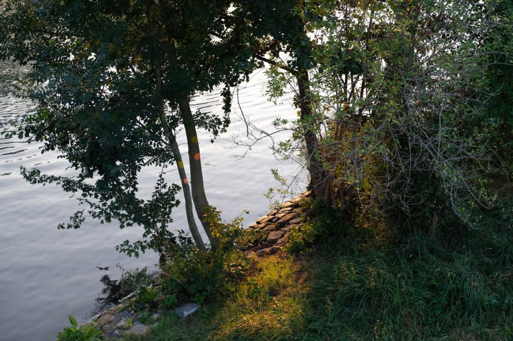 The Last Day Of Summer, Berlin, 2024