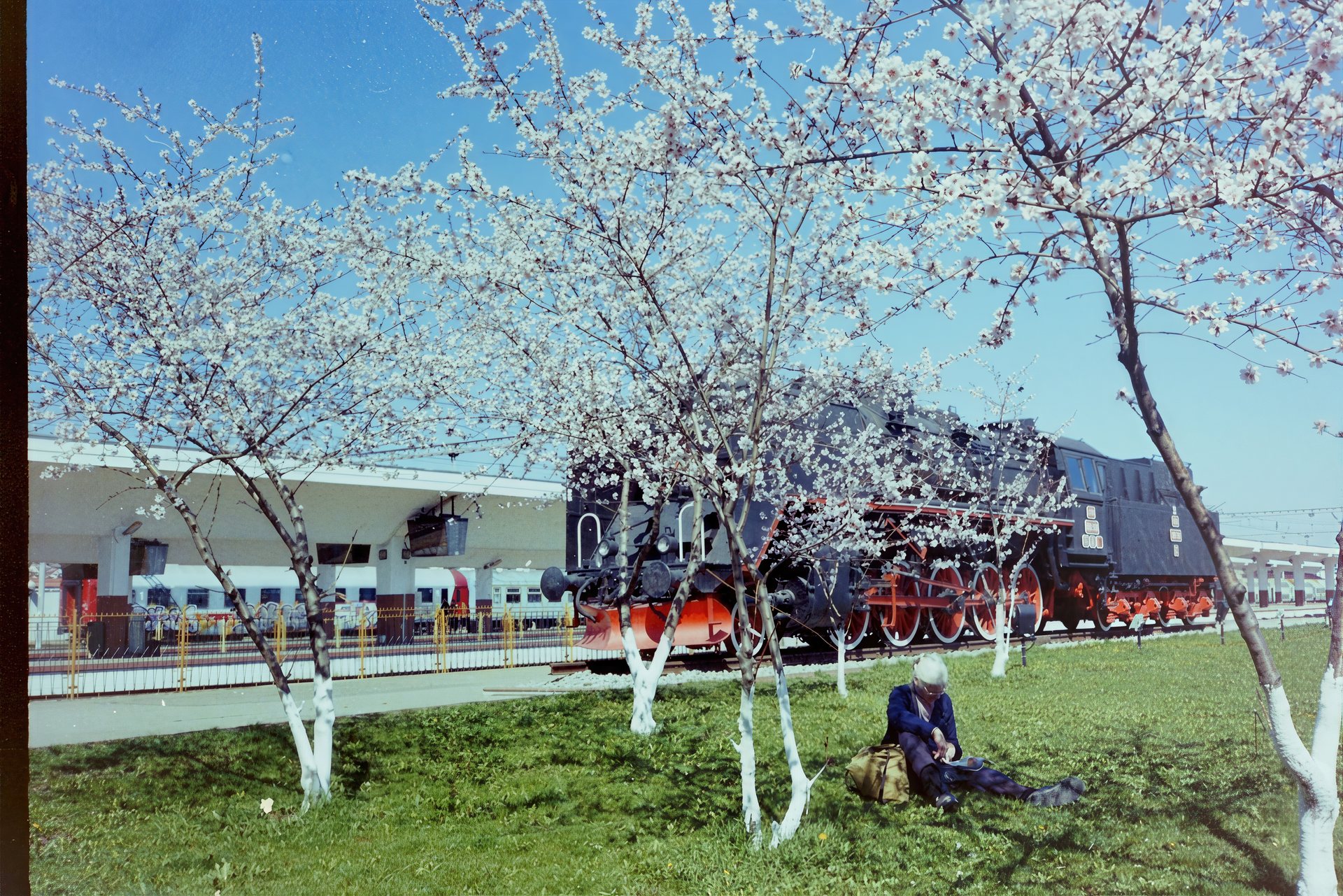 Spring waits at the station, Cluj-Napoca, 2013